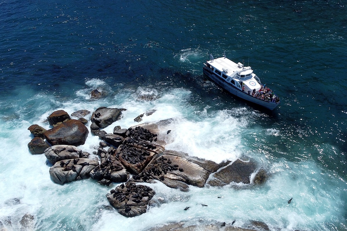 Day 3: Cape Town - Full Day Cape Peninsula Tour